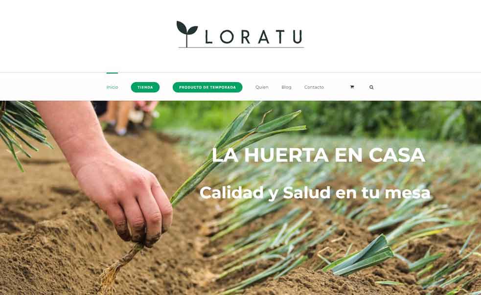 Loratu | Desarrollo Web | donosTIK