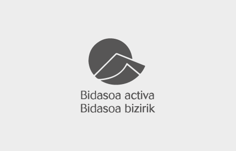 Bidasoa Activa | donosTIK