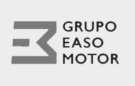 Grupo Easo Motor | donosTIK